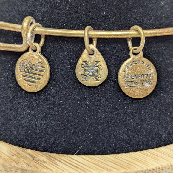 Alex & Ani 2016 Calavera Gold Tone Skull Copper Charm Bracelet - Picture 2 of 13